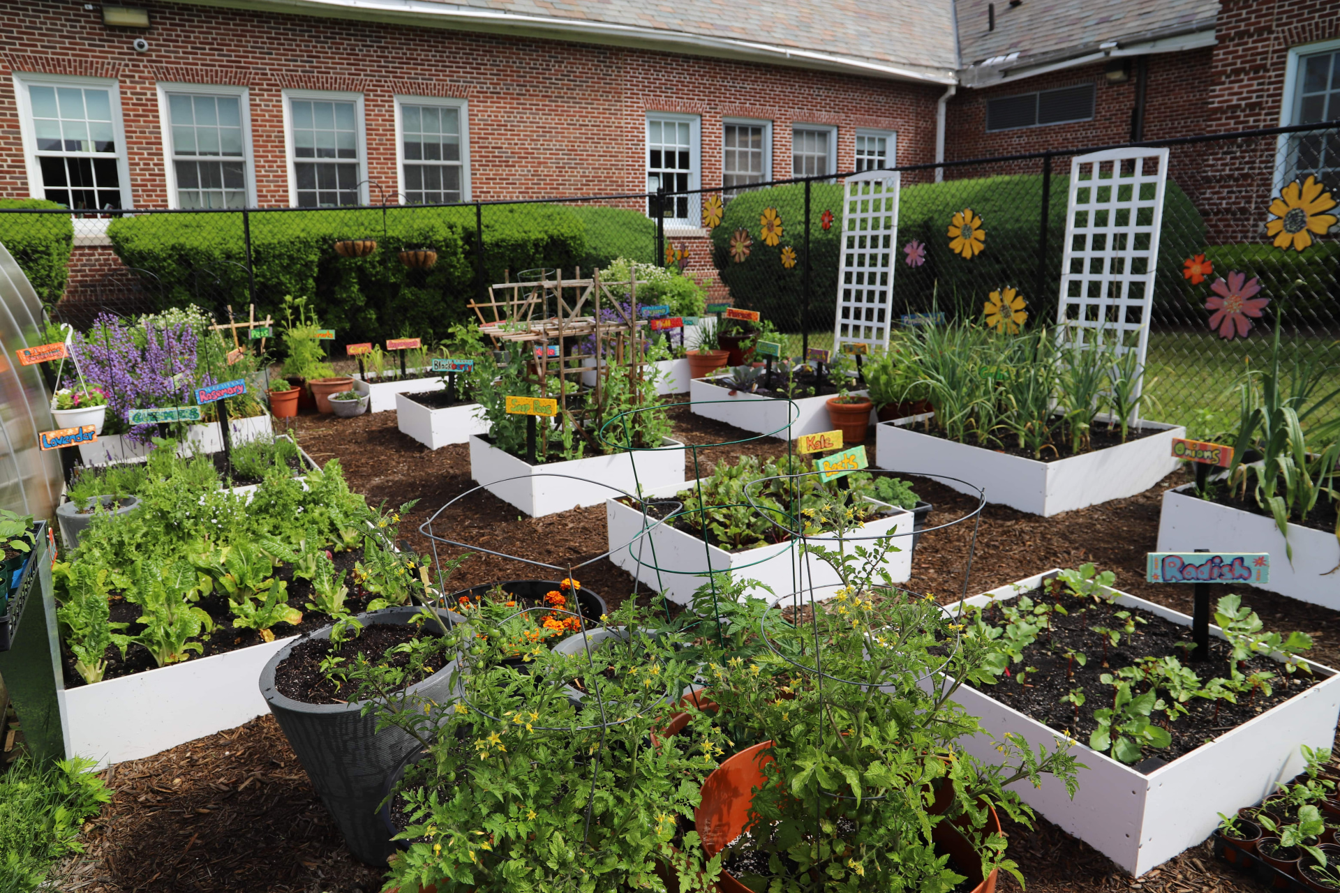 Garden